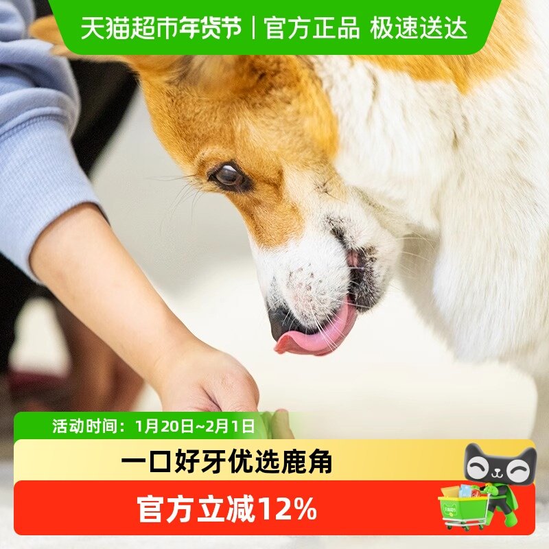 GiGwi贵为狗玩具鹿角幼犬耐咬咬胶柯基博美小型犬自嗨解闷磨牙棒