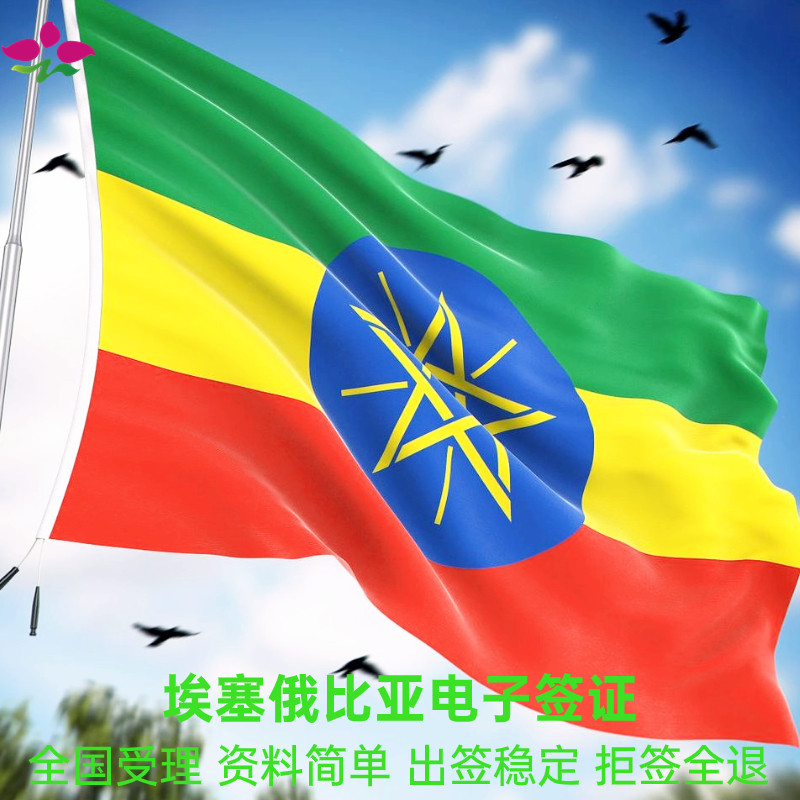 埃塞俄比亚电子签证旅游签工作签签证全国加急办理