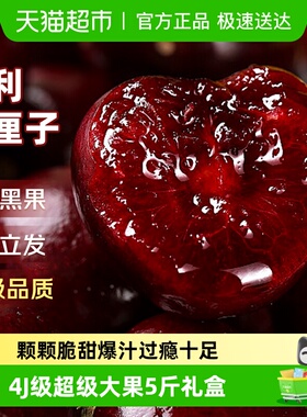 智利进口车厘子新鲜水果礼盒应当季大樱桃345J整箱现货立发孕妇斤