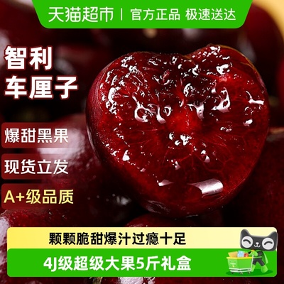 现货智利车厘子4J级超大果礼盒