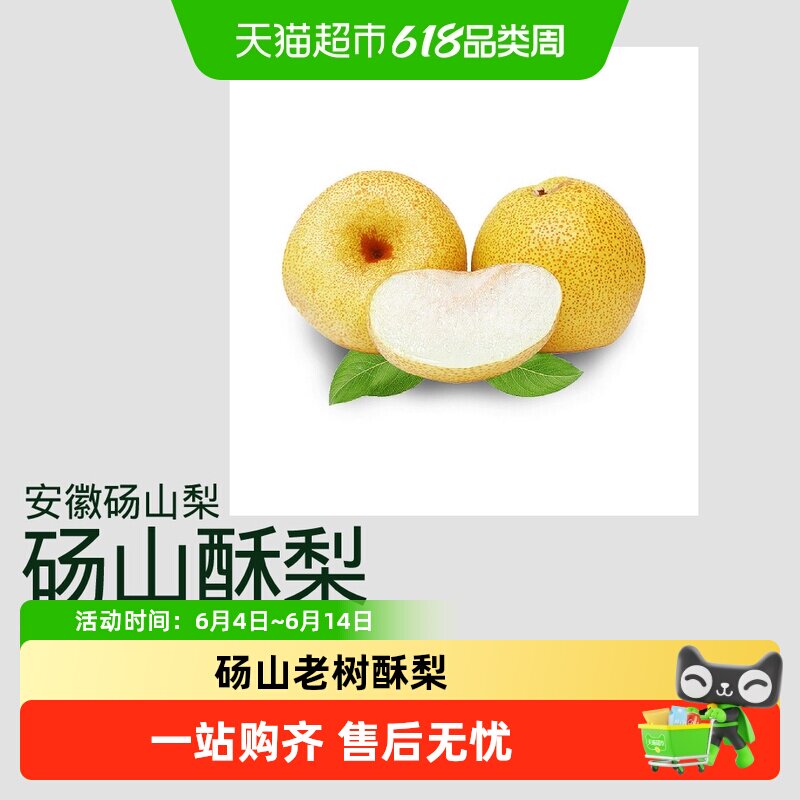 安徽砀山老树酥梨百年老树酥梨砀山梨大果新鲜水果