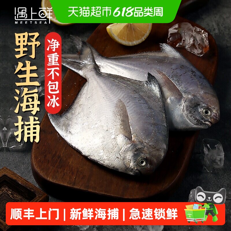 顺丰上门遇上鲜银鲳鱼新鲜冷冻舟山海鲜昌扁鱼鲜活速冻水产平鱼大