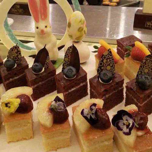 广州大型特色动物主题自助餐厅，有1000个用餐席位 全落地玻璃设计，窗外即是动物岛，威风的白虎、热情的火烈鸟 刺身，鹅肝酱，生蚝，牛排，三文鱼，鸡软骨，南美烧烤，芝士蛋糕