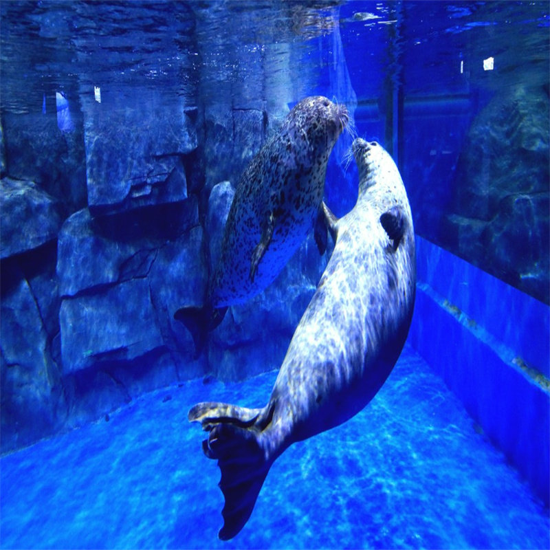 [南宁极地海洋世界-大门票(提前2小时)]南宁极地海洋世界门票