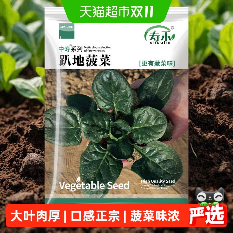 寿禾趴地菠菜种子大叶老品种红根波菜大全青菜蔬菜种籽四季播种