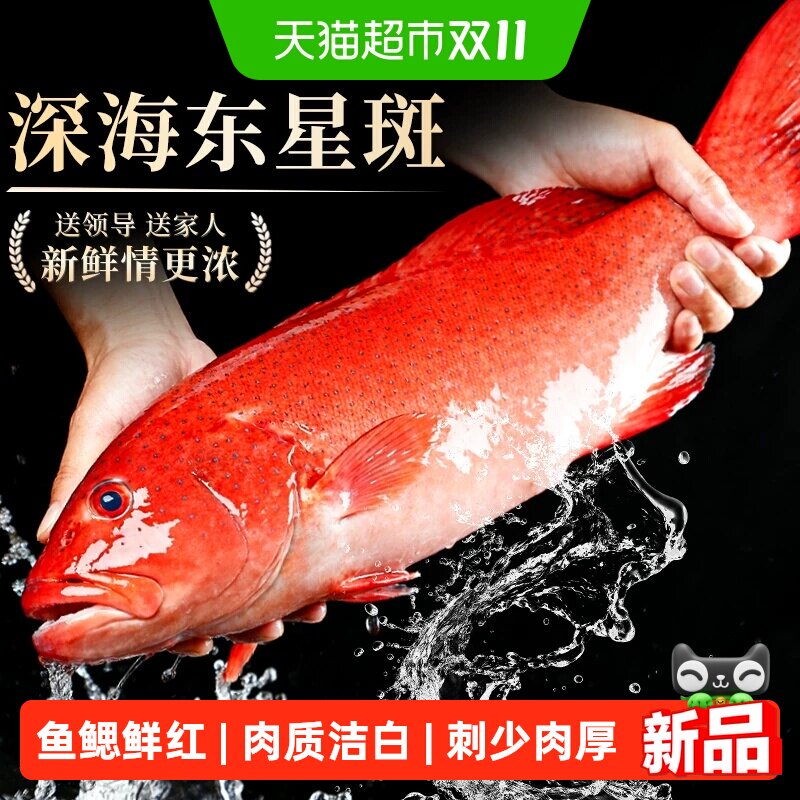 冻深东星斑鱼鲜活冷冻海鱼石斑鱼春节年货送礼礼包礼盒聚餐食材