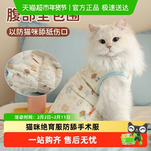 猫咪绝育服手术衣服猫猫断奶戒奶服防舔公猫母狗术后服宠物服母猫