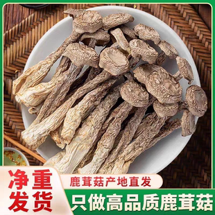 脆嫩鹿茸菇干货鹿茸菌商用香菇煲汤炒菜批发新鲜蘑菇羊肚菌菌汤包