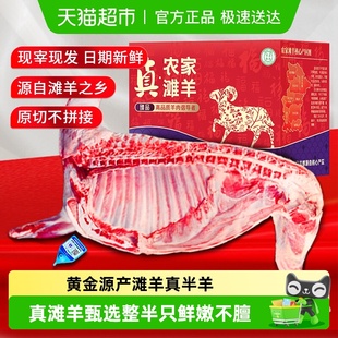 半只羊礼盒正宗宁夏滩羊肉新鲜现杀盐池羔羊排羊后腿整只年货送礼