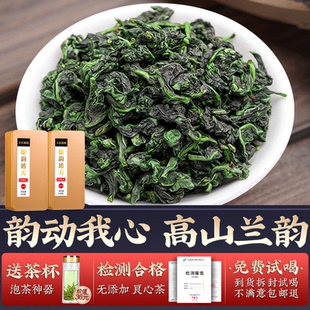 鐵觀音特級濃香型茶葉2025新茶正宗安溪高山蘭花香烏龍茶送禮盒裝
