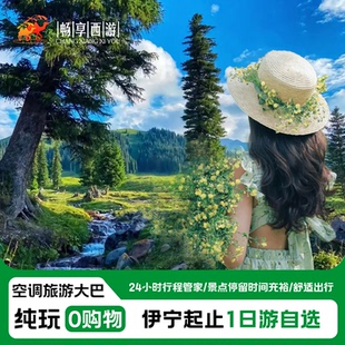 新疆跟团游北疆伊犁赛里木湖喀拉峻那拉提恰西自选大巴一日游合集
