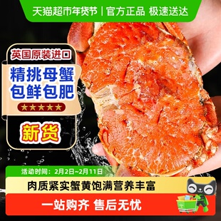面包蟹母蟹熟冻帝王蟹超大鲜活冷冻海蟹新鲜海鲜水产黄金蟹珍宝蟹