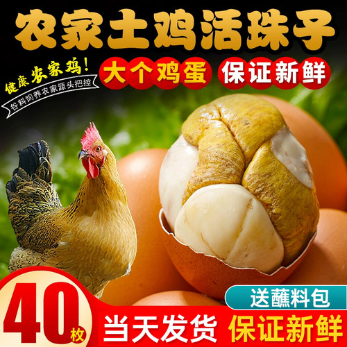 40枚活珠子新鲜13天五香味开袋即食香辣毛蛋活珠子熟毛鸡蛋钢化蛋