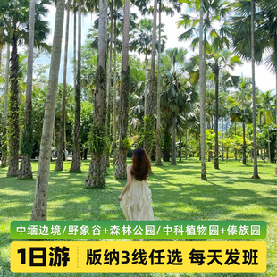 西双版纳中缅边境/野象谷/中科植物园一日游【三条线路任选】