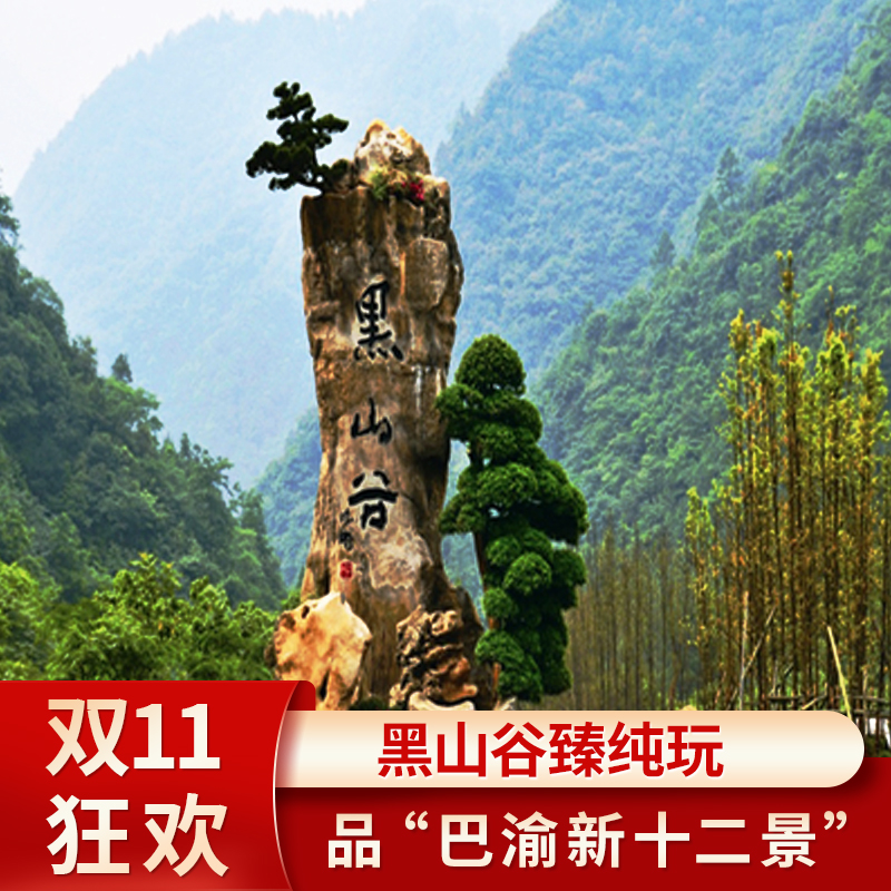 双十一:重庆万盛黑山谷一日游门票纯玩周边跟团游避暑
