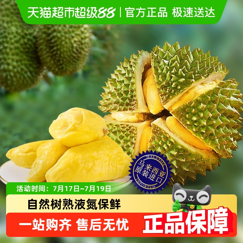 大马彭亨州马来西亚猫山王榴莲