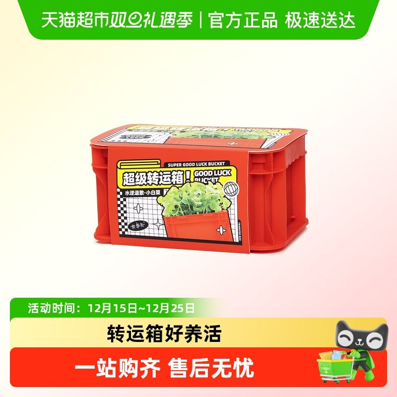 ECOEY家庭园艺种子超级转运箱向日葵DIY创意种植小盆栽园艺小花农