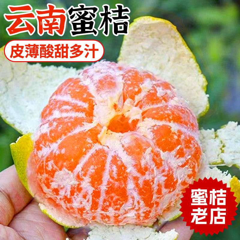 【55-70mm單果】云南蜜桔皮薄水果5斤
