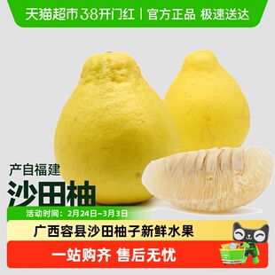 广西容县沙田柚子新鲜水果白肉纯甜当季现摘蜜柚金柚整箱