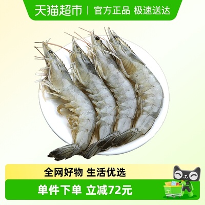 北海湾白虾海虾