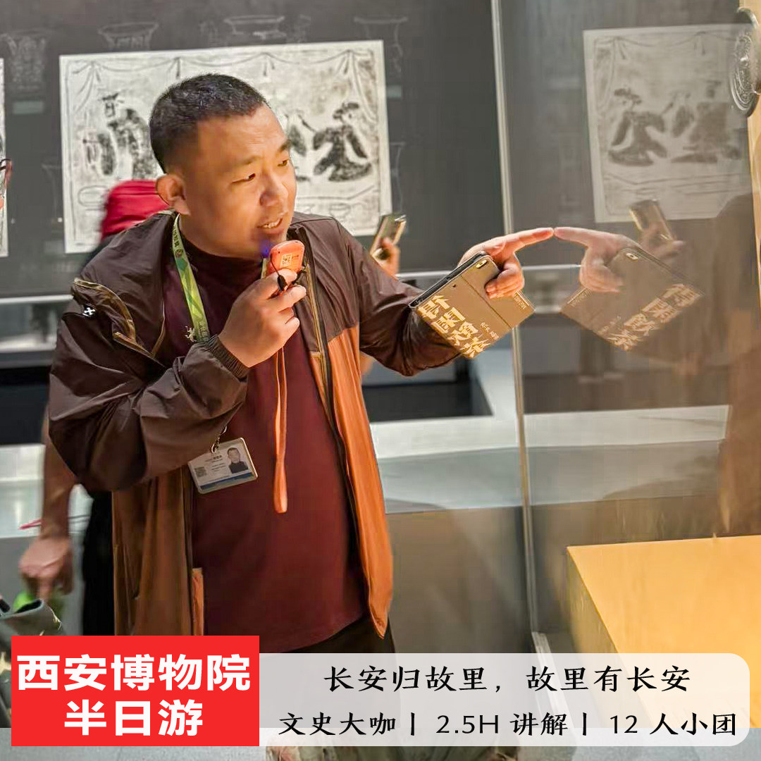 西安博物院+小雁塔半日游 含门票 2.5H大咖讲解12人团无购物 - 实物图