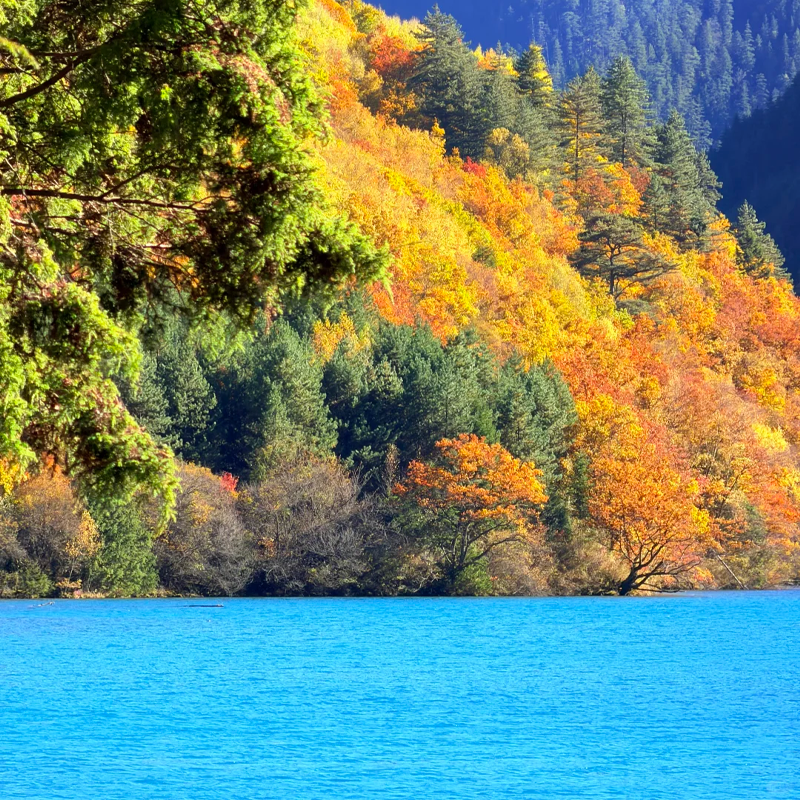 餐饮上，蓉咖啡有 9 个开放式厨房，香宫主打创新川菜与经典粤菜 设有 &ldquo;气&rdquo; SPA、露天网球场、健身房与泳池等设施 套餐含每天双人早餐，送酒店消费券 享VIP礼遇，提前入住延迟退房、免费升级房间、生日布置等