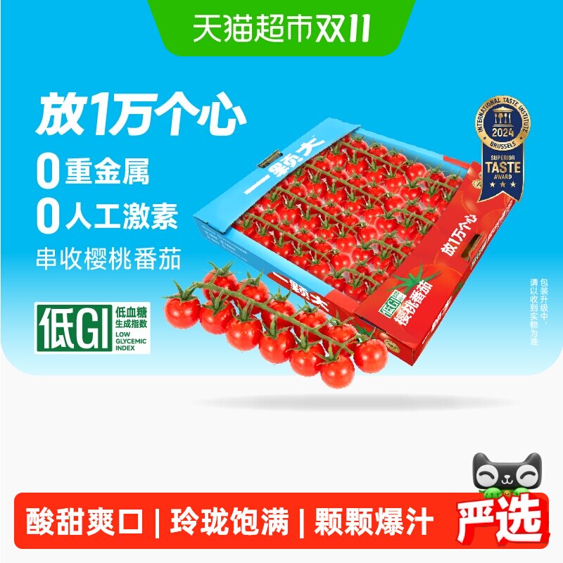 一颗大串收樱桃番茄自然成熟