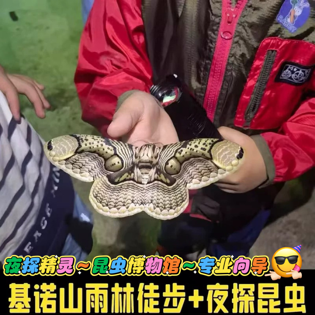 西双版纳一日游