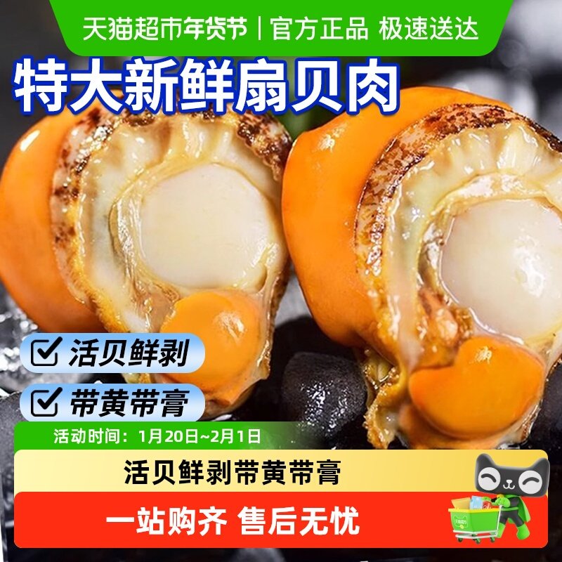 海仙部落青岛扇贝肉新鲜冷冻带黄特大号红贝,水产肉类/新鲜蔬果/熟食,贝类制品,淘宝优惠券,粉丝福利购,淘宝优惠卷