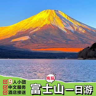 日本东京富士山一日游中文小团网红打卡双湖山中湖河口湖大石公园