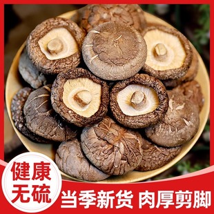 特产香菇干货商用脆小菌菇炖汤煲汤来了直播间非野生非特级