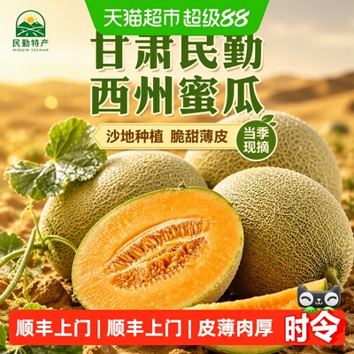 我有果果甘肃沙地哈密瓜当季4斤