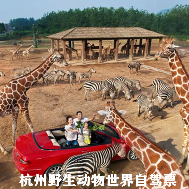 [杭州野生动物世界-自驾游通行证]杭州富阳野生动物园自驾车门票