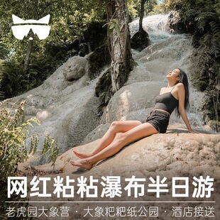 懒猫旅行 清迈粘粘瀑布半日游大象咖啡粑粑纸包车一日游泰国