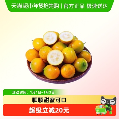 广西融安滑皮金桔