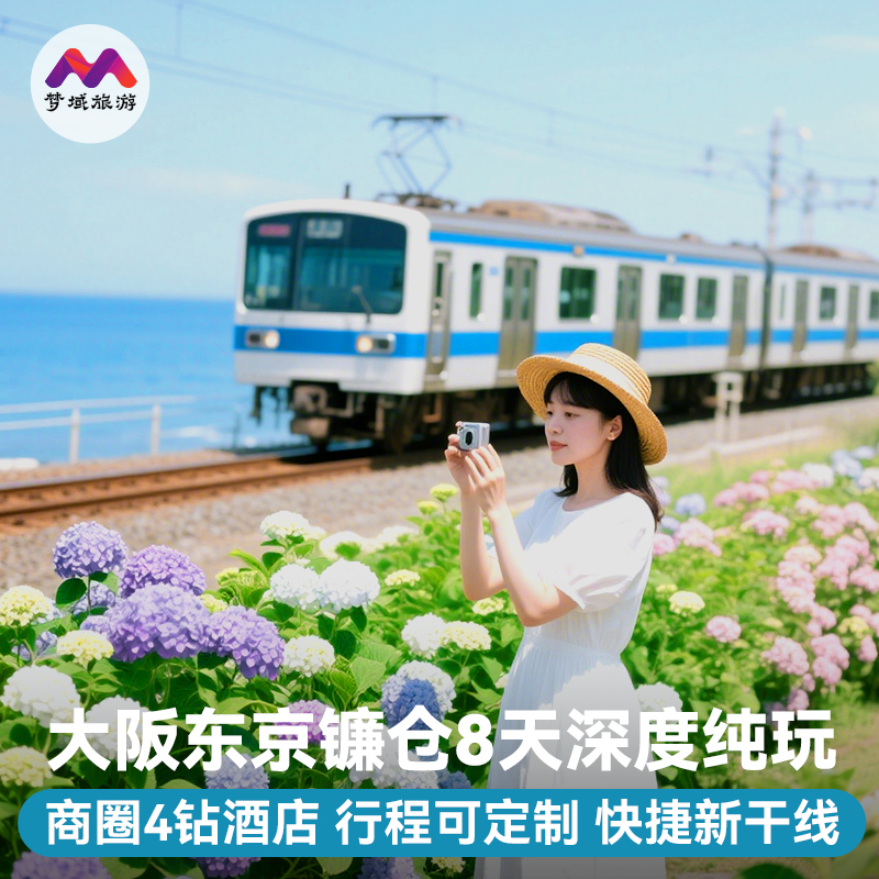 日本8天半自由团