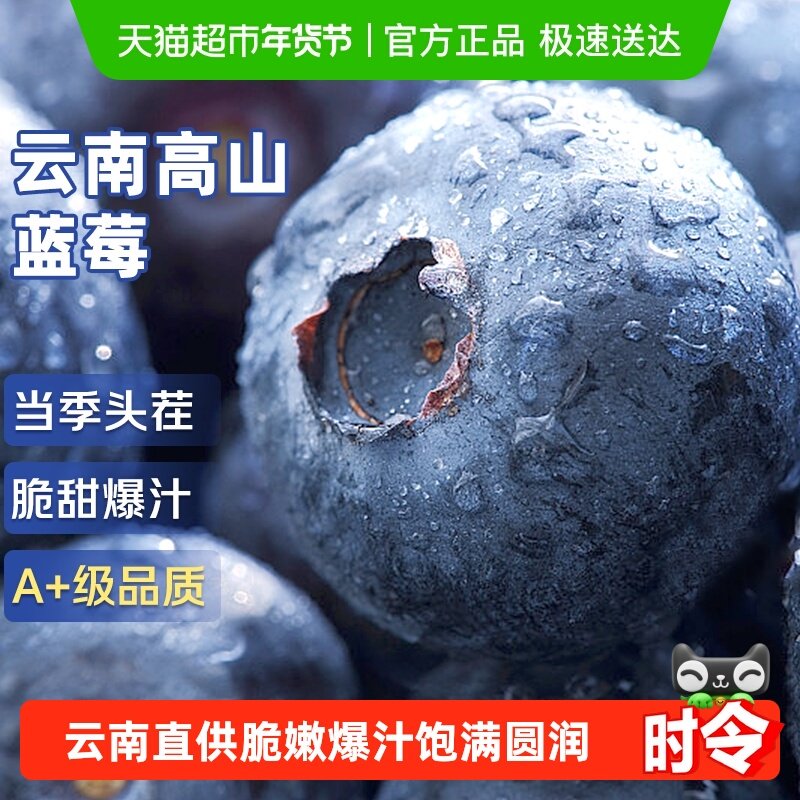 云南高山蓝莓鲜果新鲜水果超大果巨无霸高山花香蓝梅应当季整箱