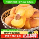 新鲜水果毛桃子黄肉蜜桃香甜多汁 山东蒙阴黄毛蟠桃当季