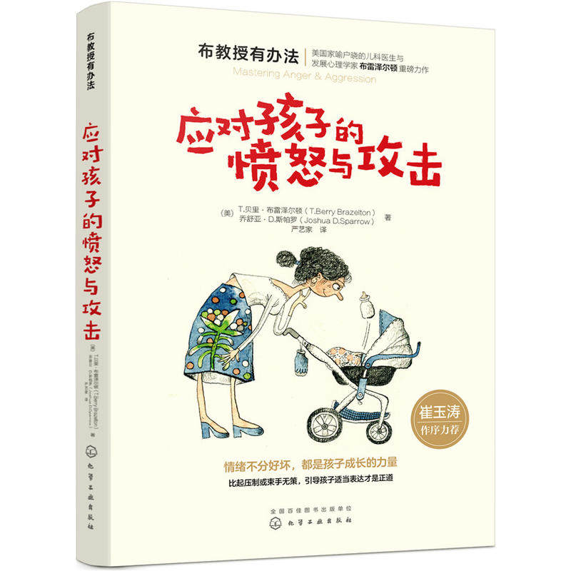 应对孩子的愤怒与攻击 布教授有办法引导孩子适当表达情绪0-6岁儿童家庭教育管理书 如何处理孩子打人踢人骂人行为图书崔玉涛力荐