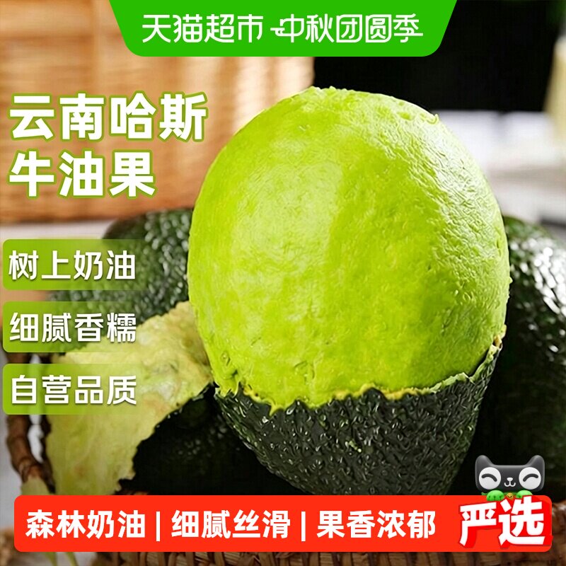 京运达秘鲁进口牛油果孕妇营养