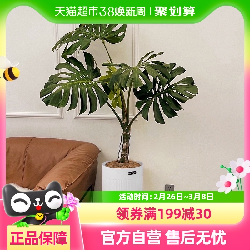 Ҷ걳׮ֲլڴ԰칫Һļ478.3Ԫ5(95.66Ԫ/88VIP 95)