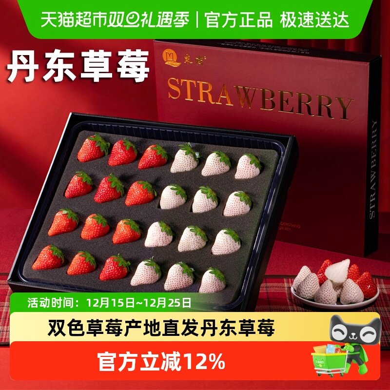 末浅双拼丹东99草莓+淡雪草莓
