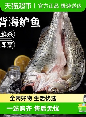 云储生活海鲈鱼开背新鲜冷冻鲜活青岛深海鱼七星海卢鱼水产烤鱼