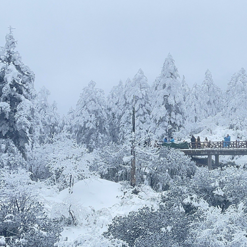 甘孜海螺沟2日游