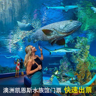 [凯恩斯水族馆-大门票]澳大利亚凯恩斯水族馆海洋馆门票 当天13:30前可定