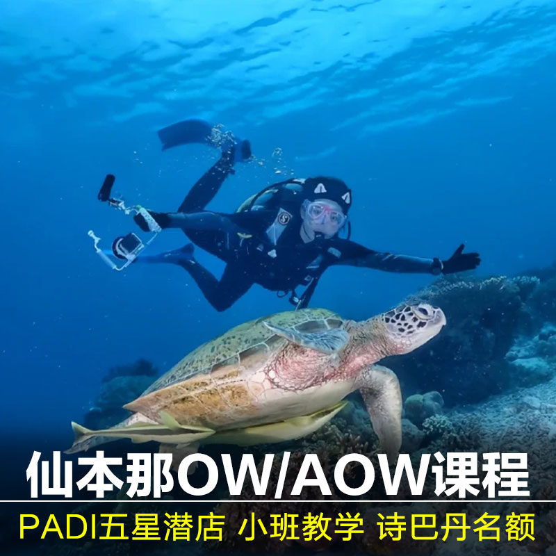 仙本那爱潜追浪潜店PADI|OWAOW中文潜水课程考证诗巴丹名额白珍珠