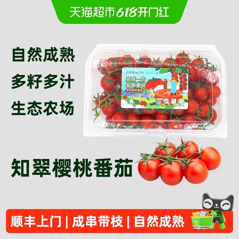 顺丰上门【知翠】串收樱桃小番茄水果自然熟新鲜水果现摘生吃