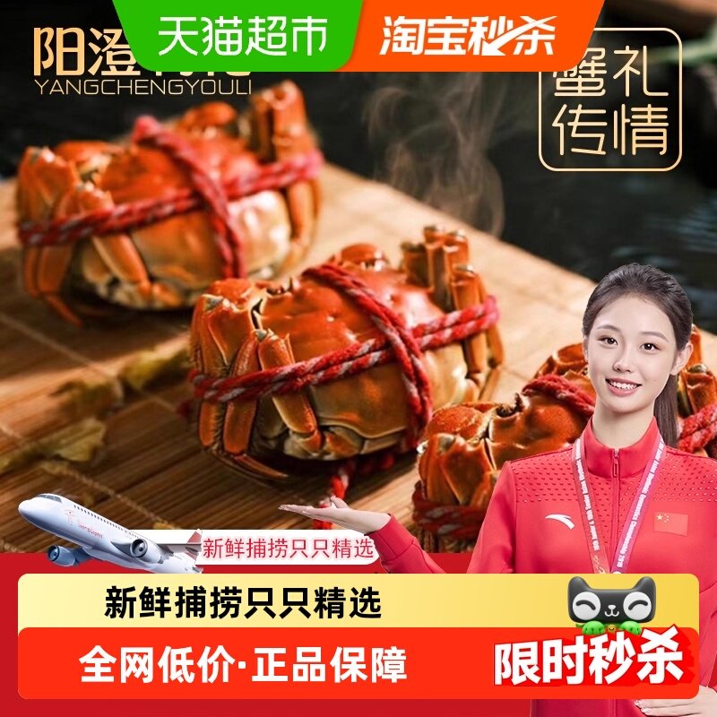 【4公4母】阳澄有礼大闸蟹礼盒公5.2-4.8两 母4.2-3.8两去绳足两,水产肉类/新鲜蔬果/熟食,大闸蟹,淘宝优惠券,粉丝福利购,淘宝优惠卷