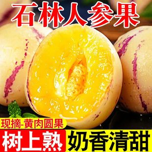云南石林人參果5斤大果新鮮人叁果水果七彩黃肉圓果人生果 包郵