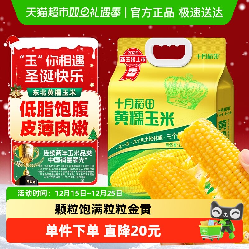 十月稻田黄糯玉米东北粘苞米杂粮粗粮低脂早餐可微波